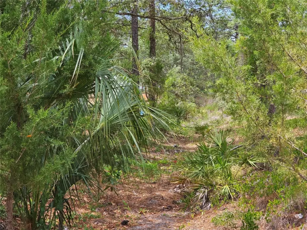 Picture 24