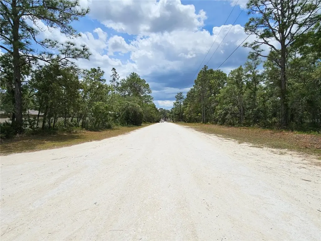 Picture 19