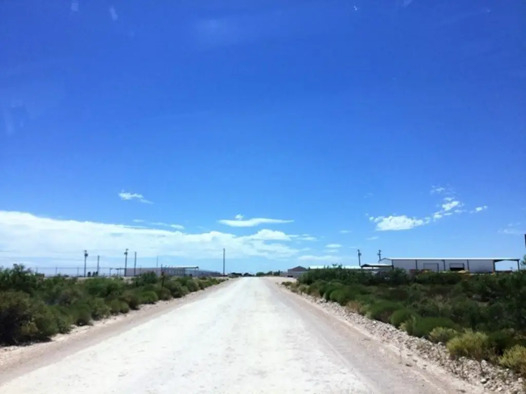 Picture 9