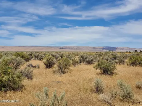 Nevada Countryside Acreage Opportunity