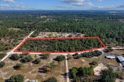 Wooded Land Parcel in Williston