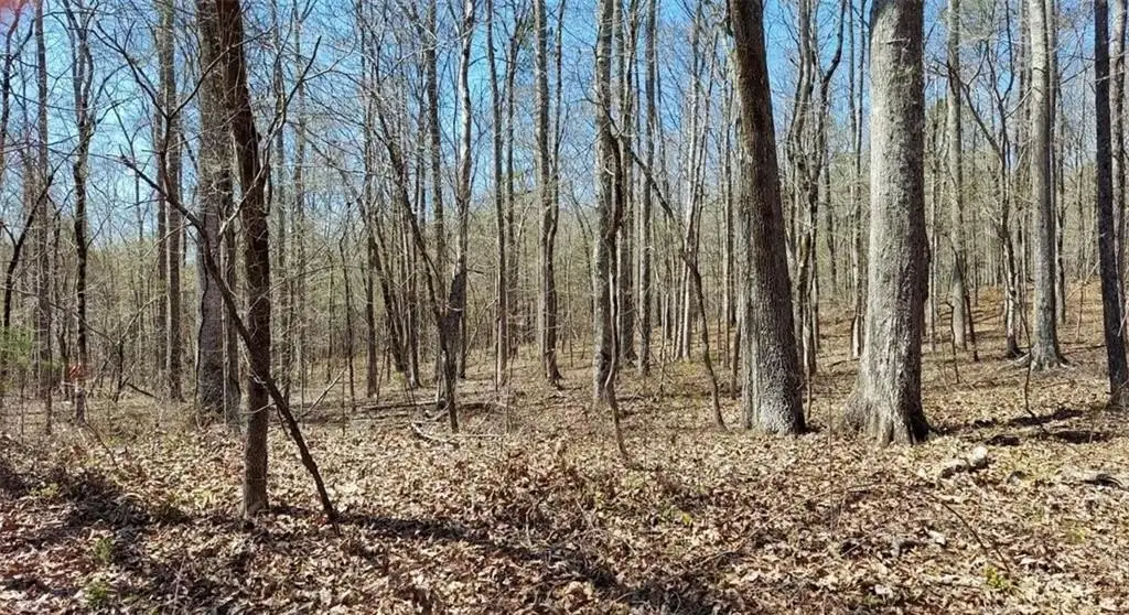 Picture 16