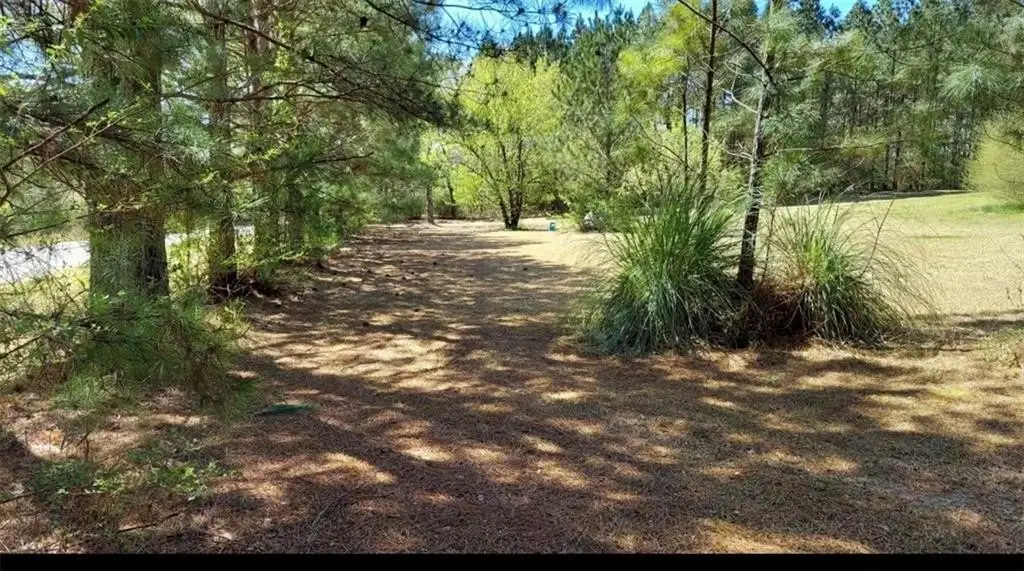 Picture 19
