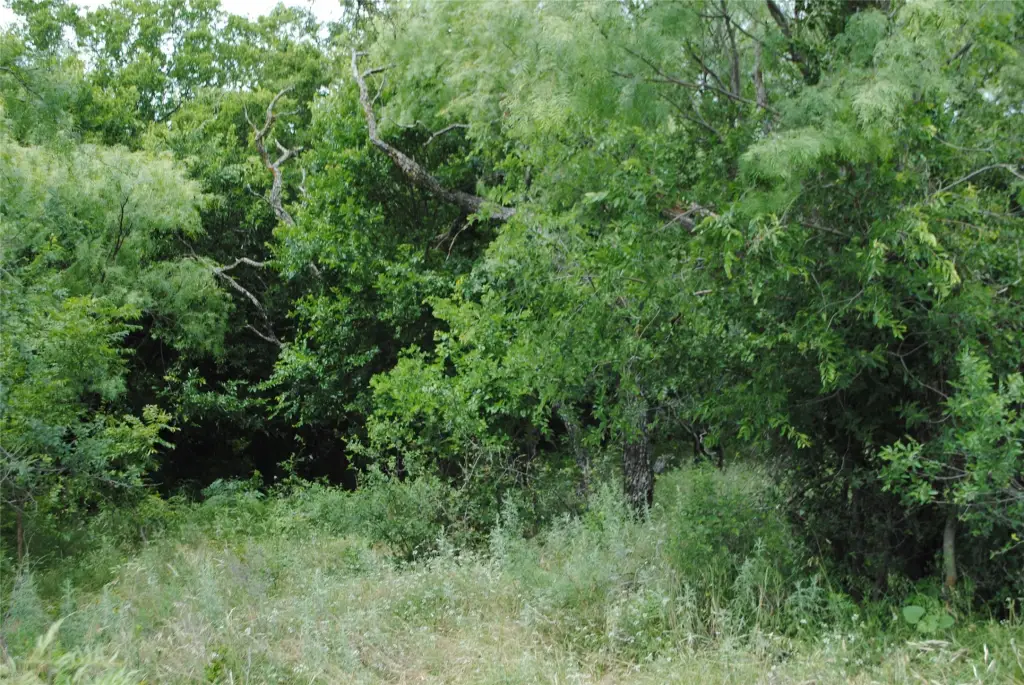 Picture 3