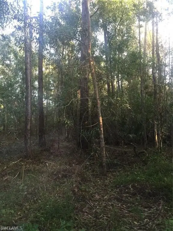 Picture 2