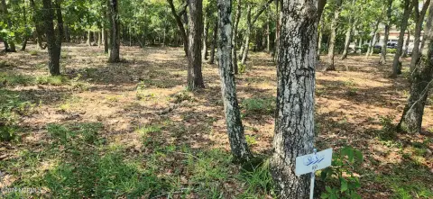 Holden Beach Land Opportunity