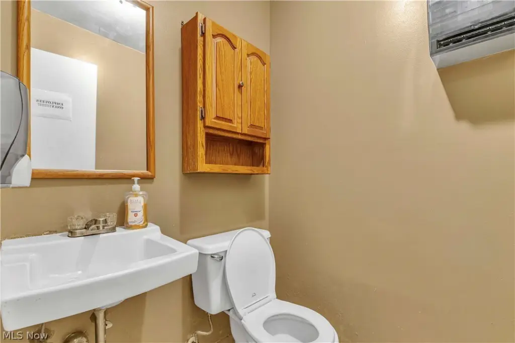 Picture 15