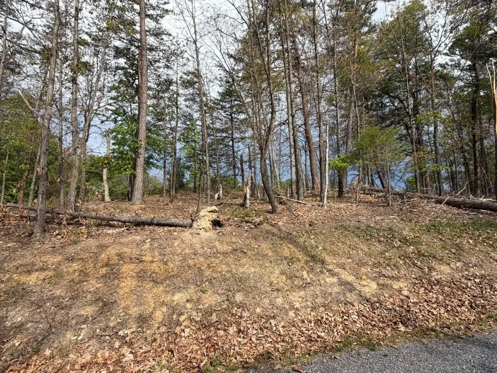 Picture 18