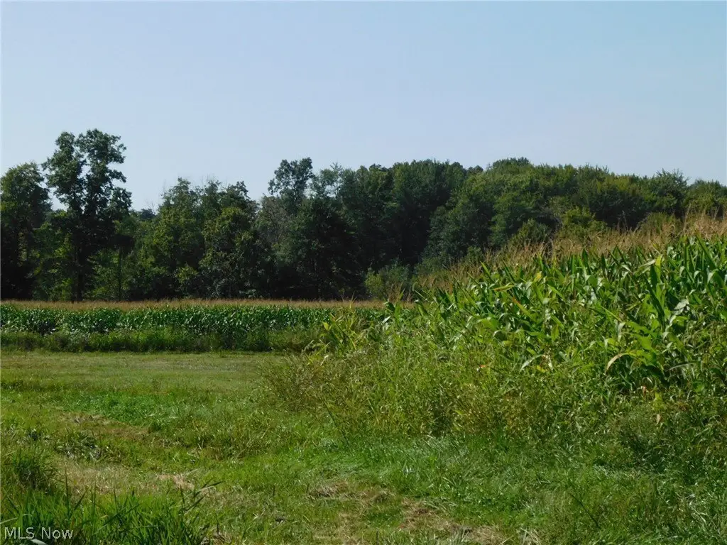 Picture 22