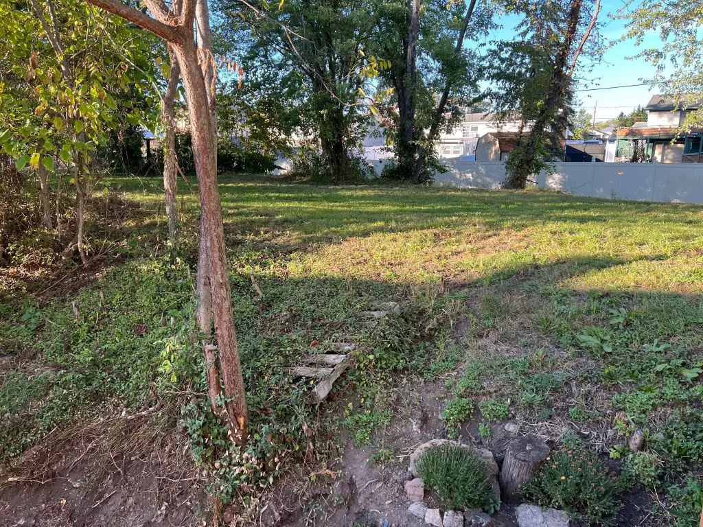 Picture 14
