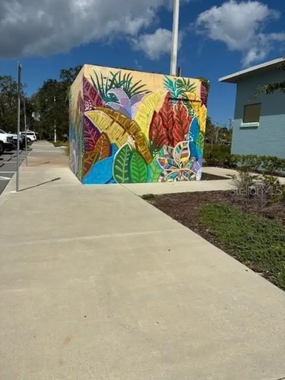 Picture 5