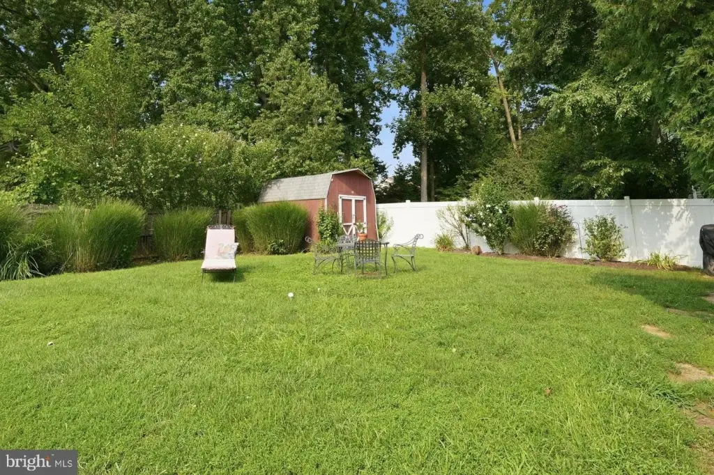 Picture 9