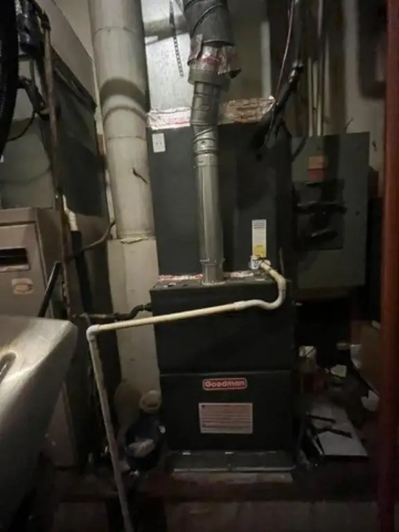 Picture 11