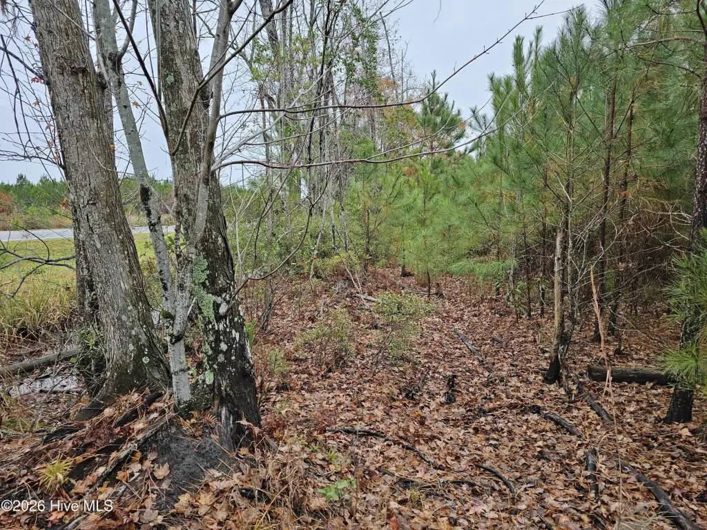 Picture 8