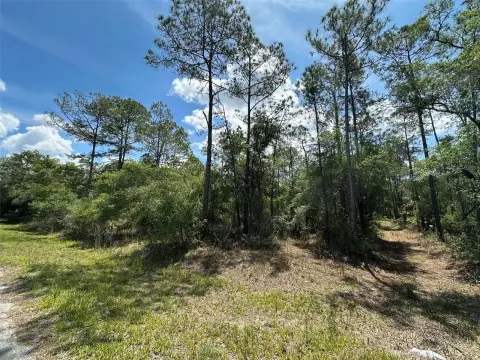 Crystal River Acreage: Build Your Dream