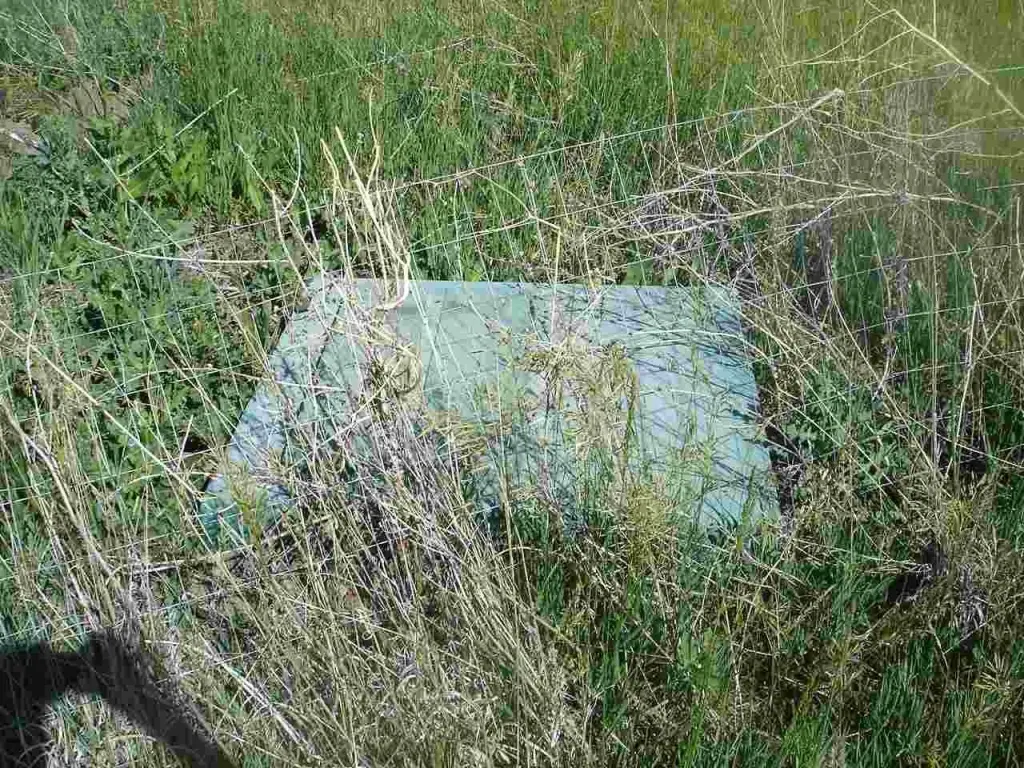 Picture 4