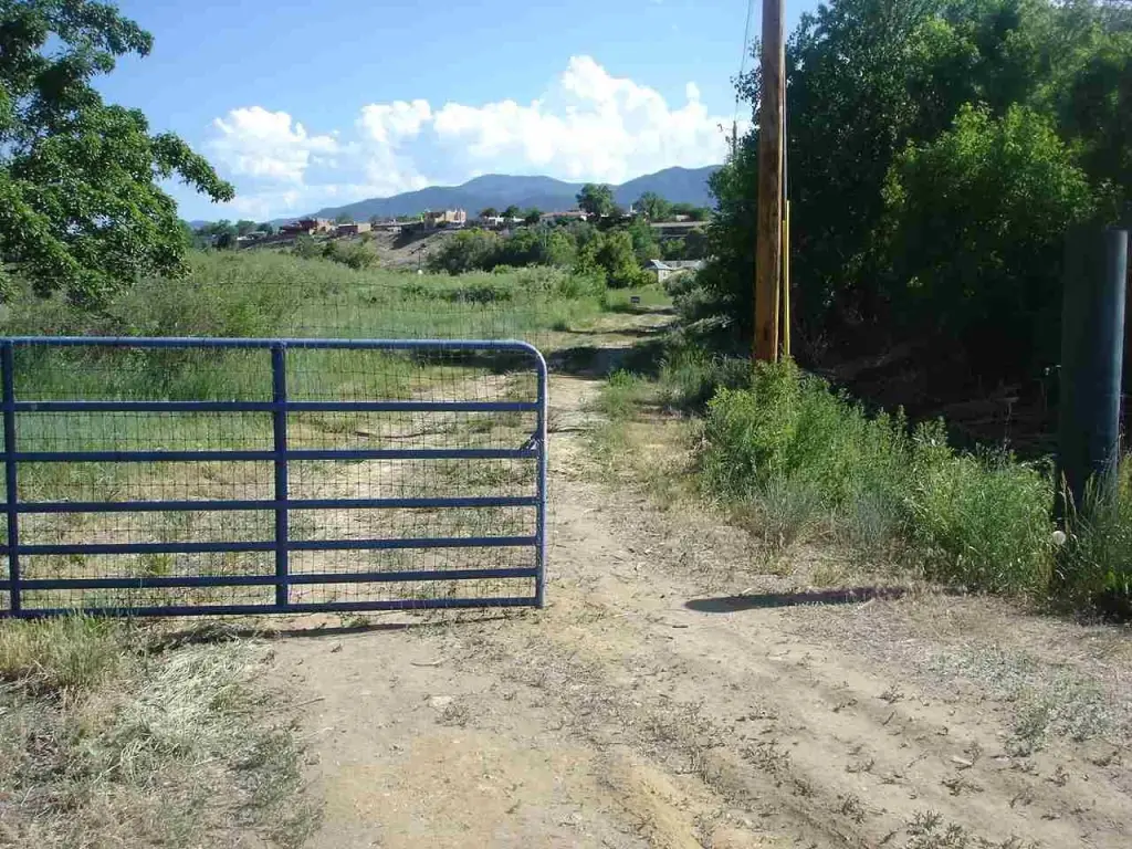 Picture 6