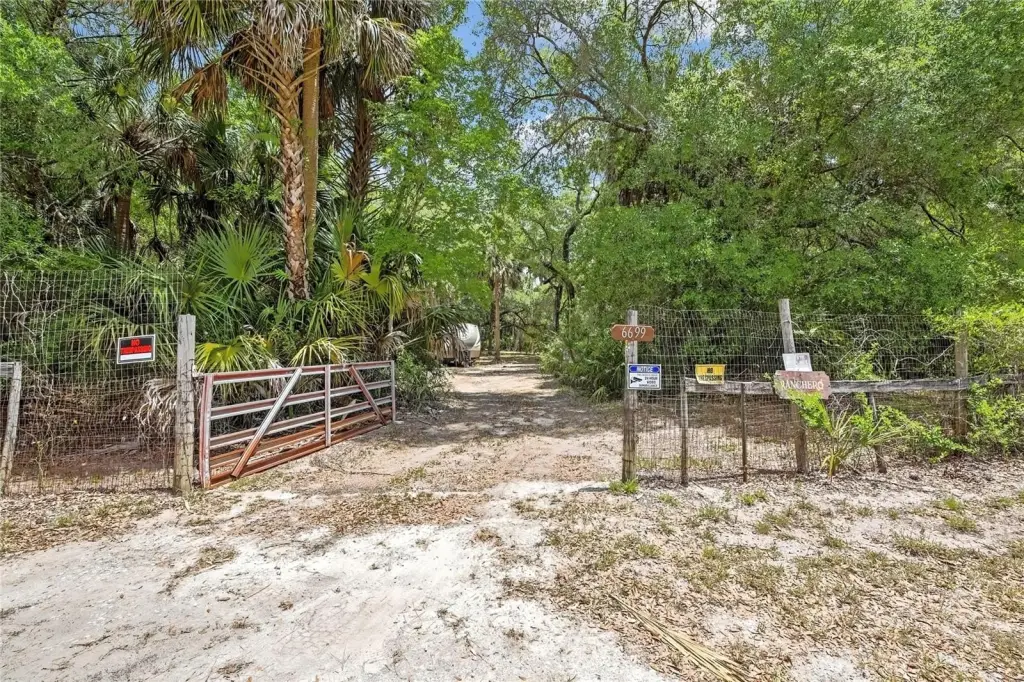 Picture 2