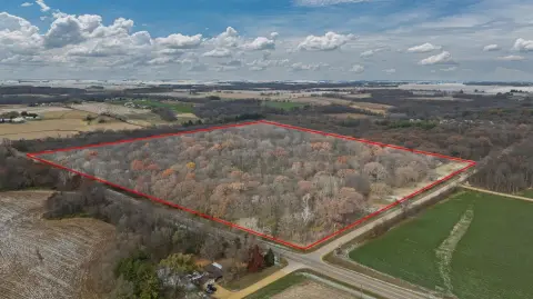 80 Acres Wooded Land