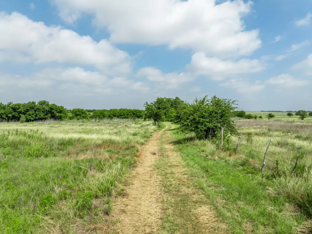 Picture 22