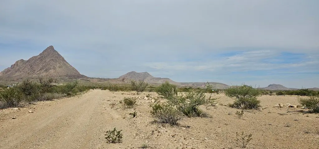 Picture 11