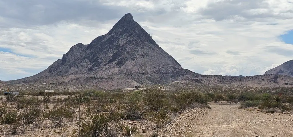 Picture 19