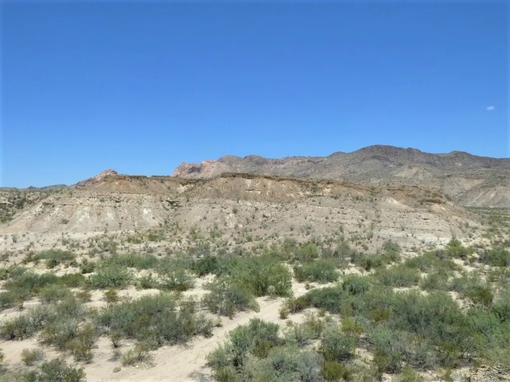 Picture 10