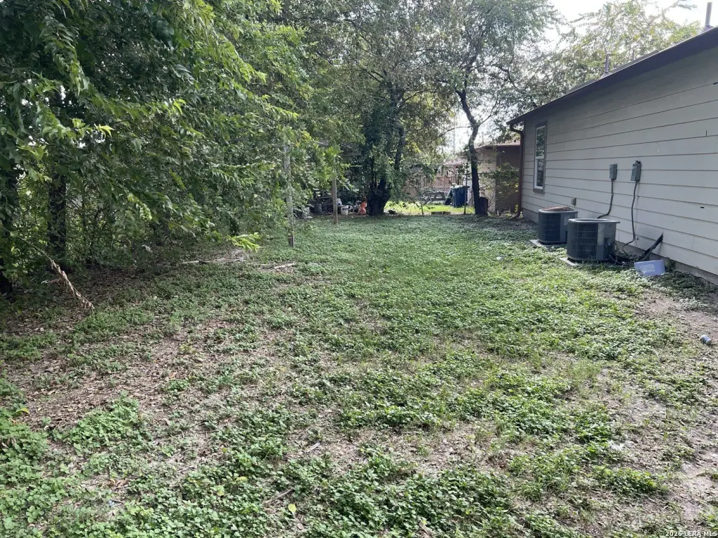 Picture 5