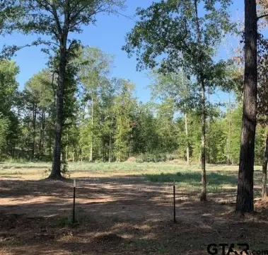 Hallsville Wooded Residential Lot