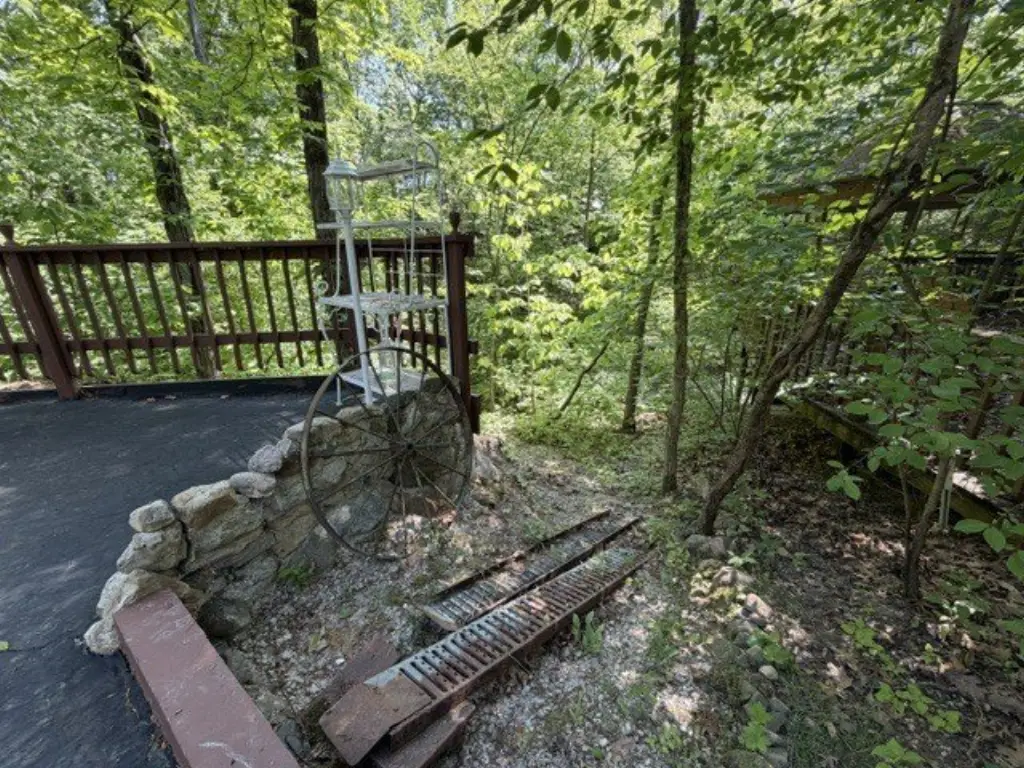 Picture 16