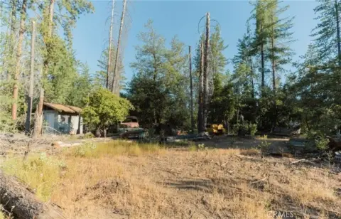 Coulterville Land with Sierra Foothills Charm