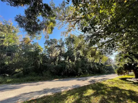 Wooded Acreage Near Flagler Beach