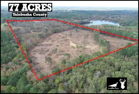 Cleared Acreage Near National Forest