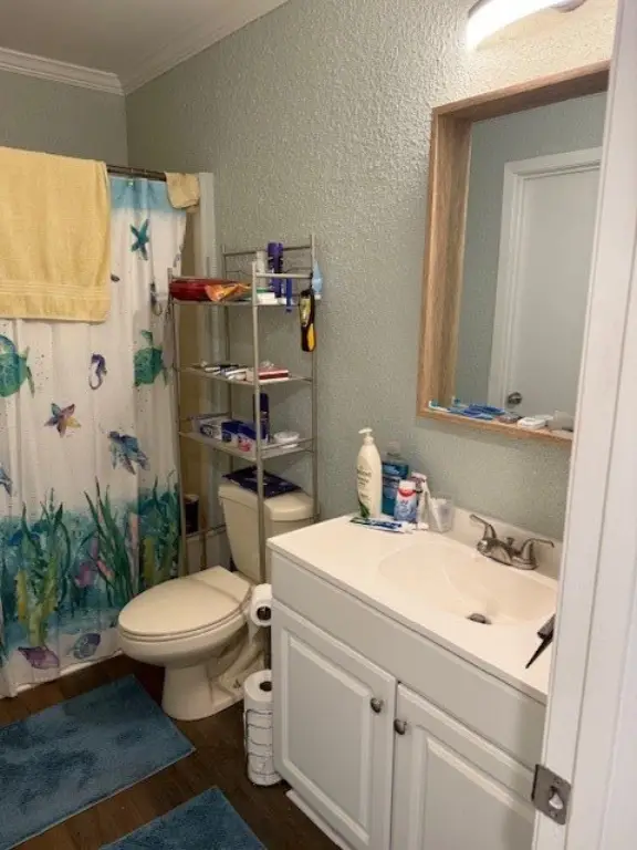 Picture 19