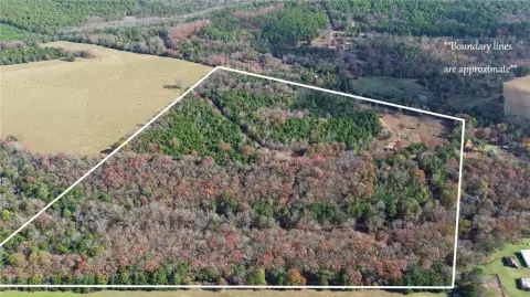 Mulberry Recreational Land For Sale