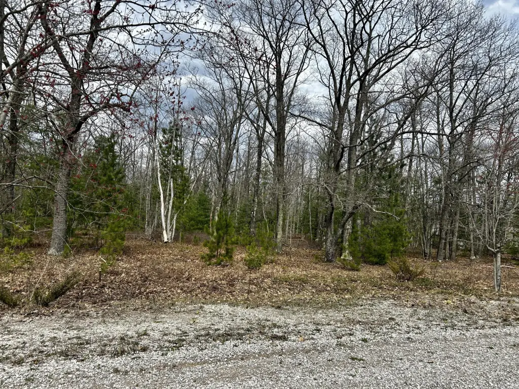 Picture 35