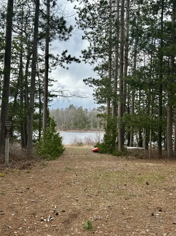 Picture 39