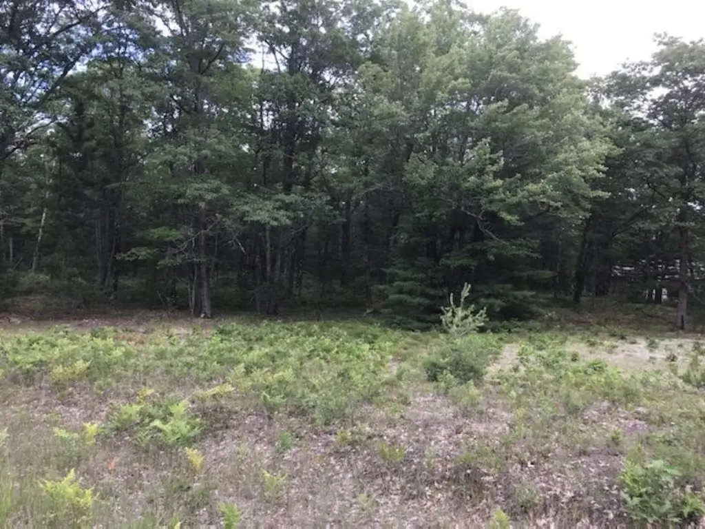 Picture 18