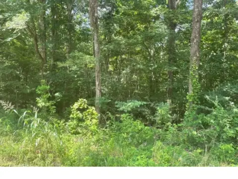 Residential Lot in Strayhorn, MS