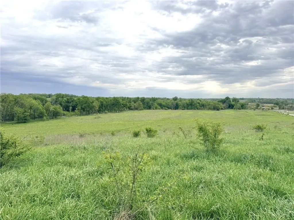 Picture 19
