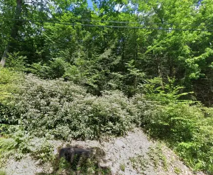 Fallsburg Wooded Acres For Sale