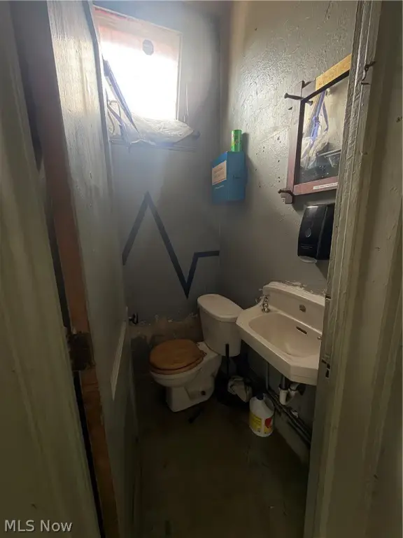 Picture 5