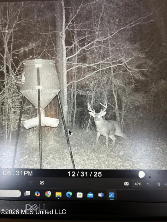 Picture 5