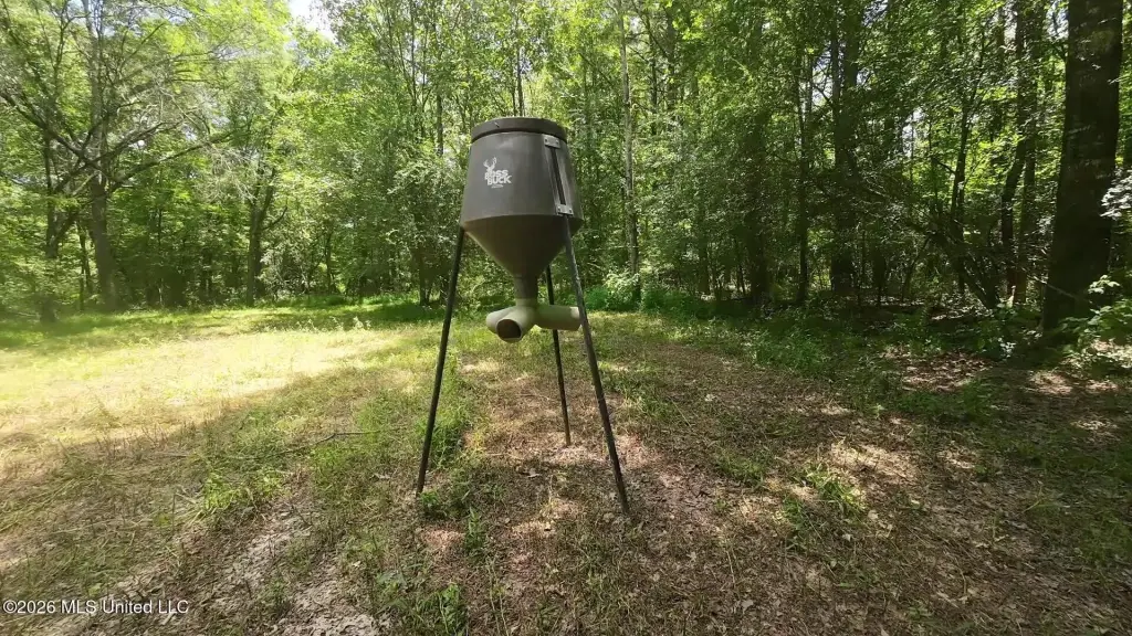 Picture 4