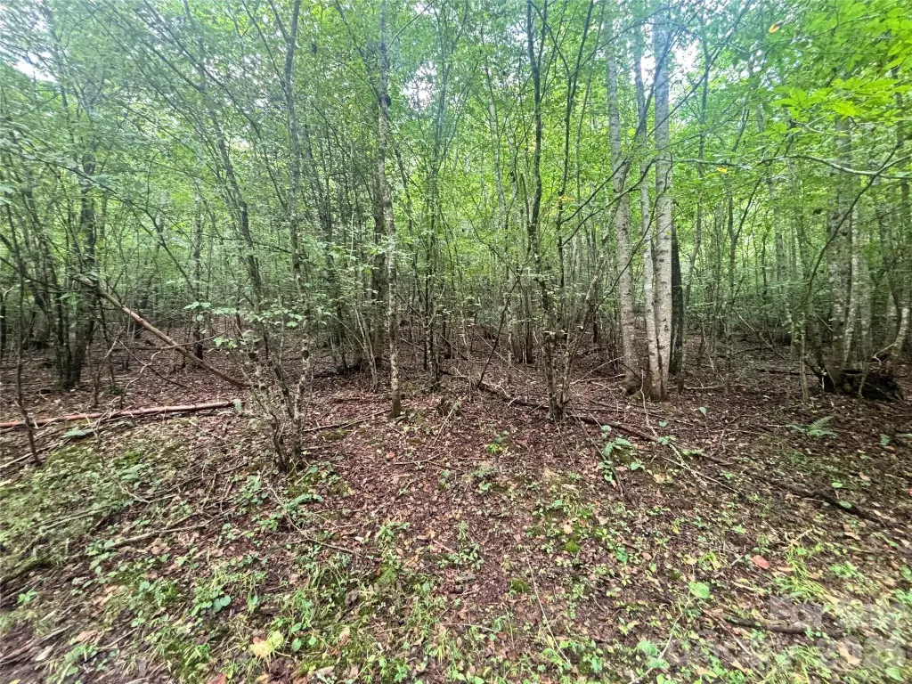 Picture 24