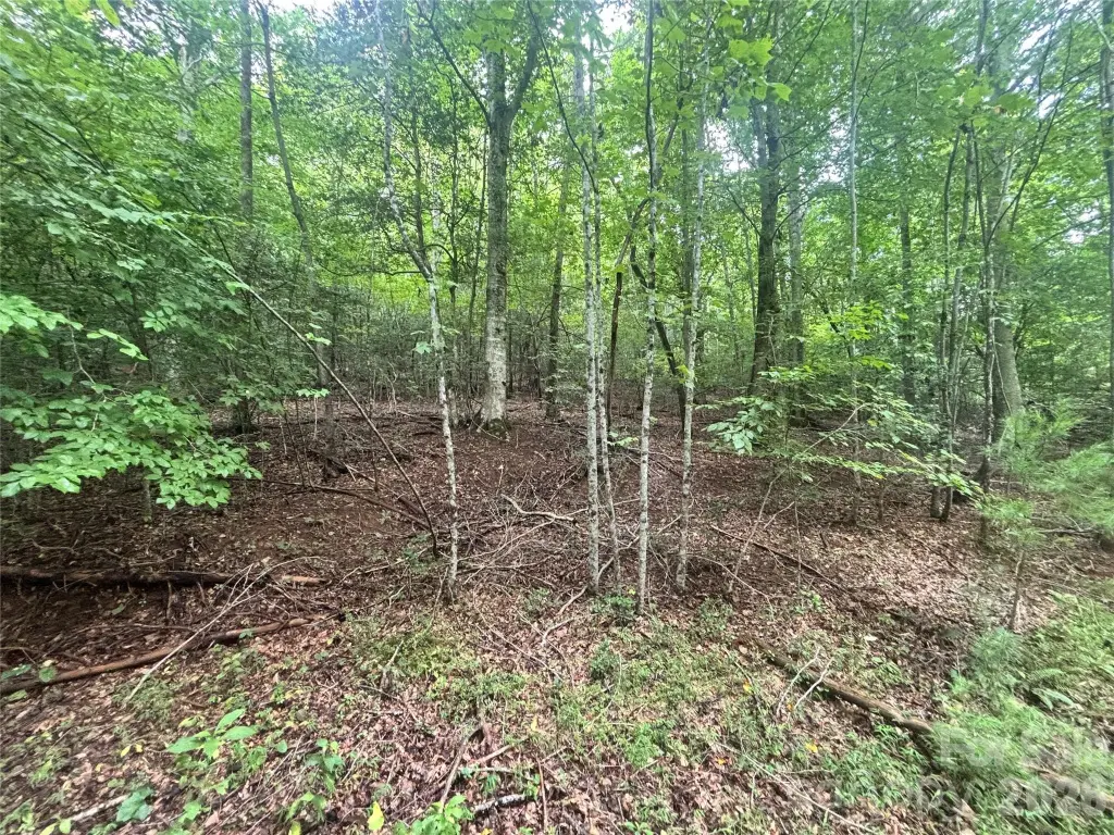 Picture 29