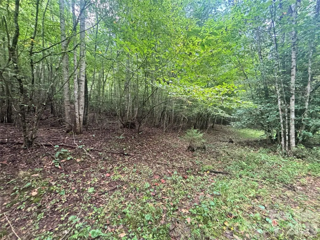 Picture 23
