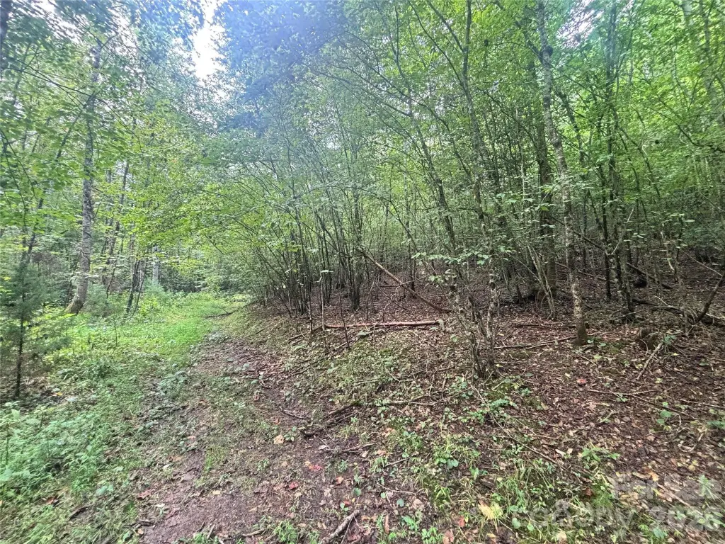 Picture 25