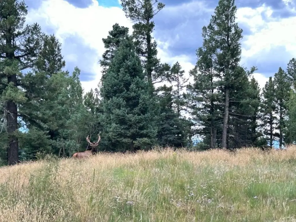 Picture 38