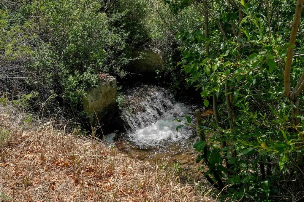 Picture 9